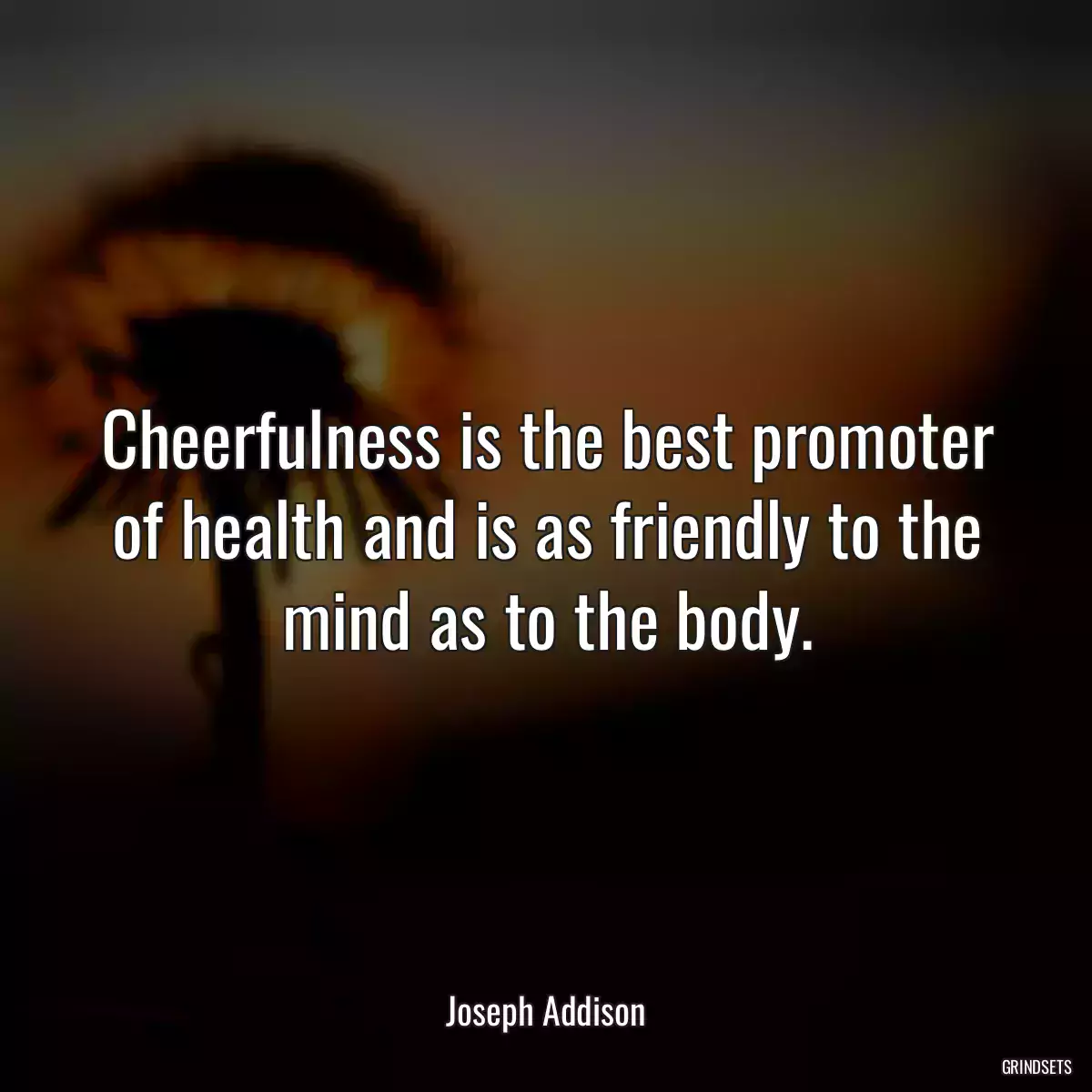 Cheerfulness is the best promoter of health and is as friendly to the mind as to the body.