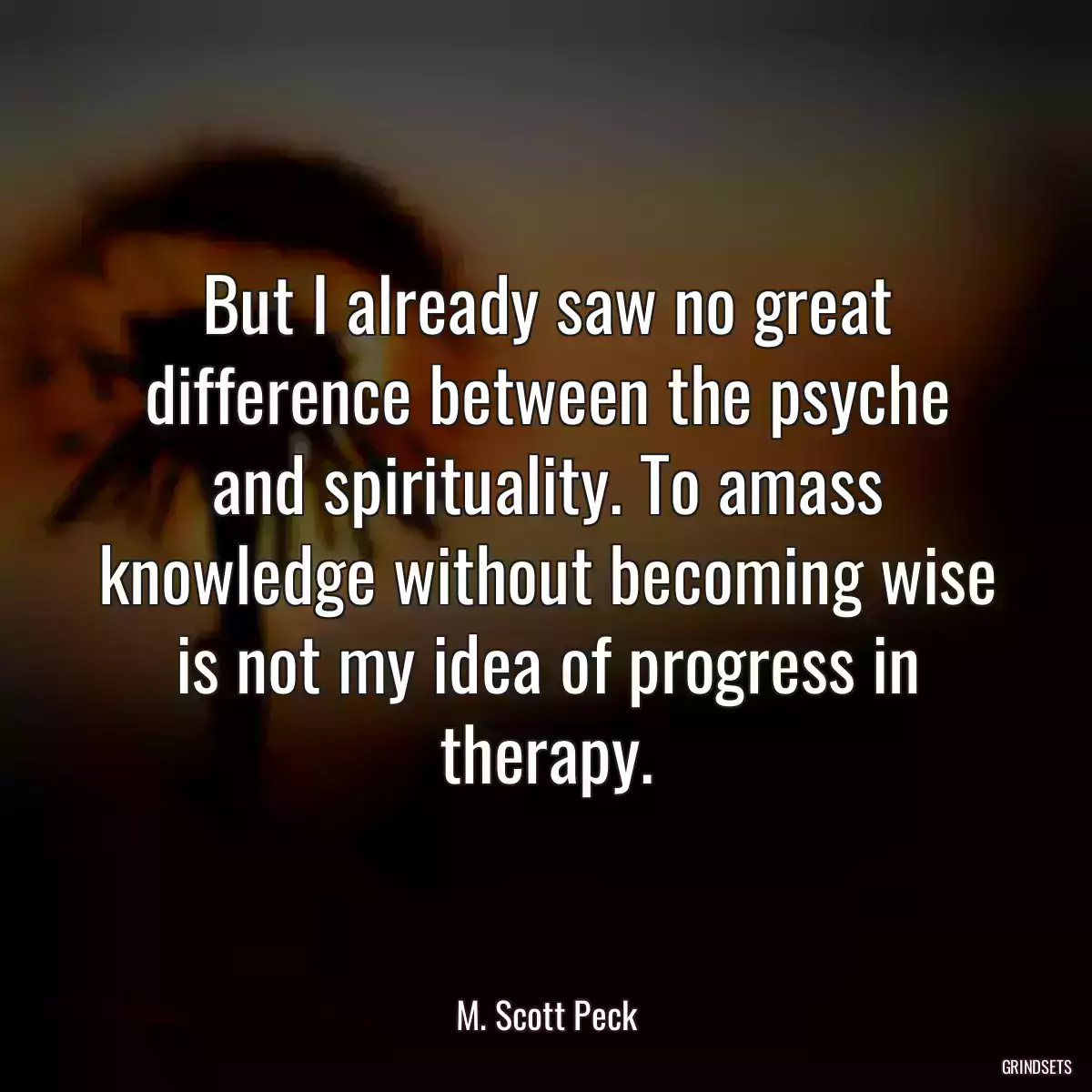 But I already saw no great difference between the psyche and spirituality. To amass knowledge without becoming wise is not my idea of progress in therapy.