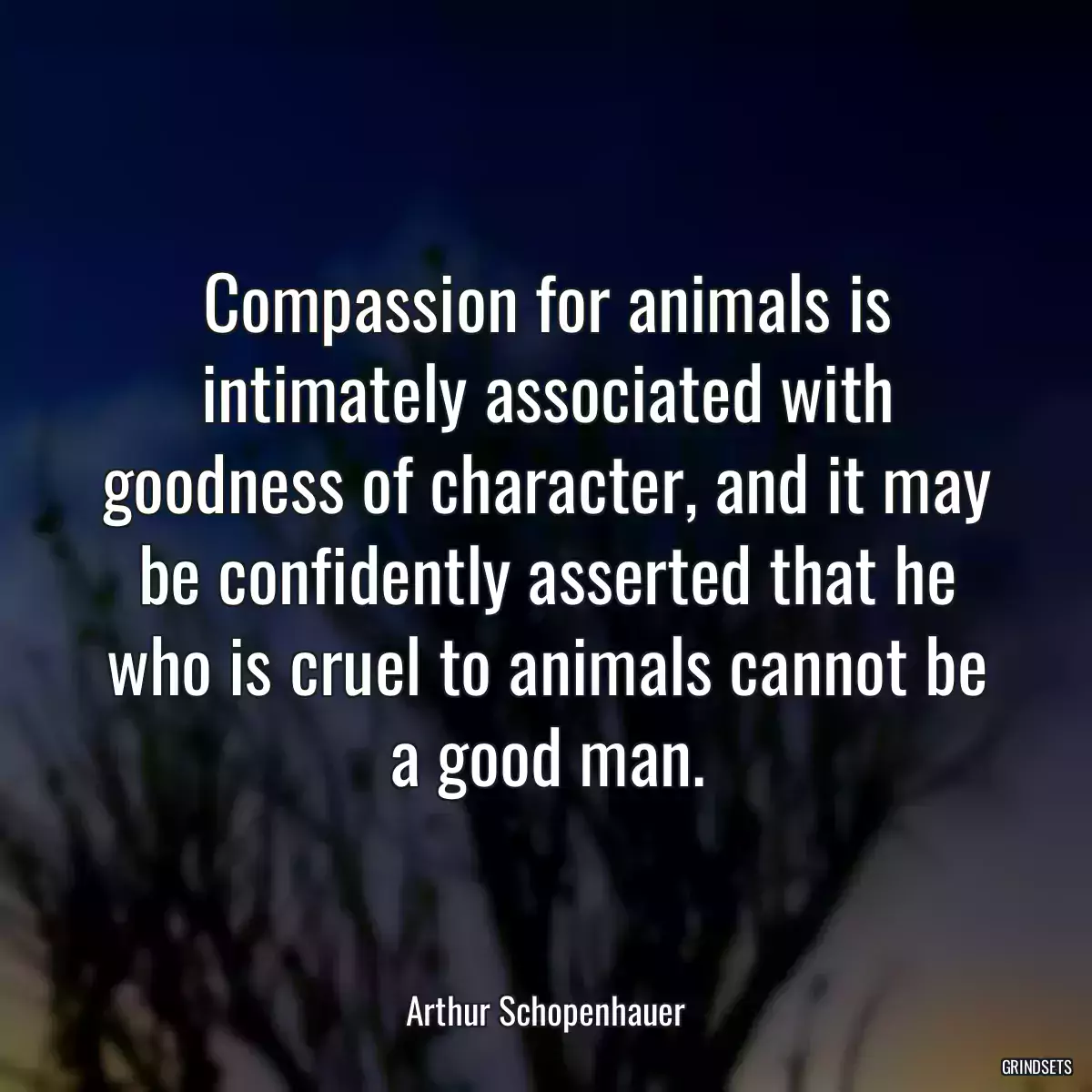 Compassion for animals is intimately associated with goodness of character, and it may be confidently asserted that he who is cruel to animals cannot be a good man.