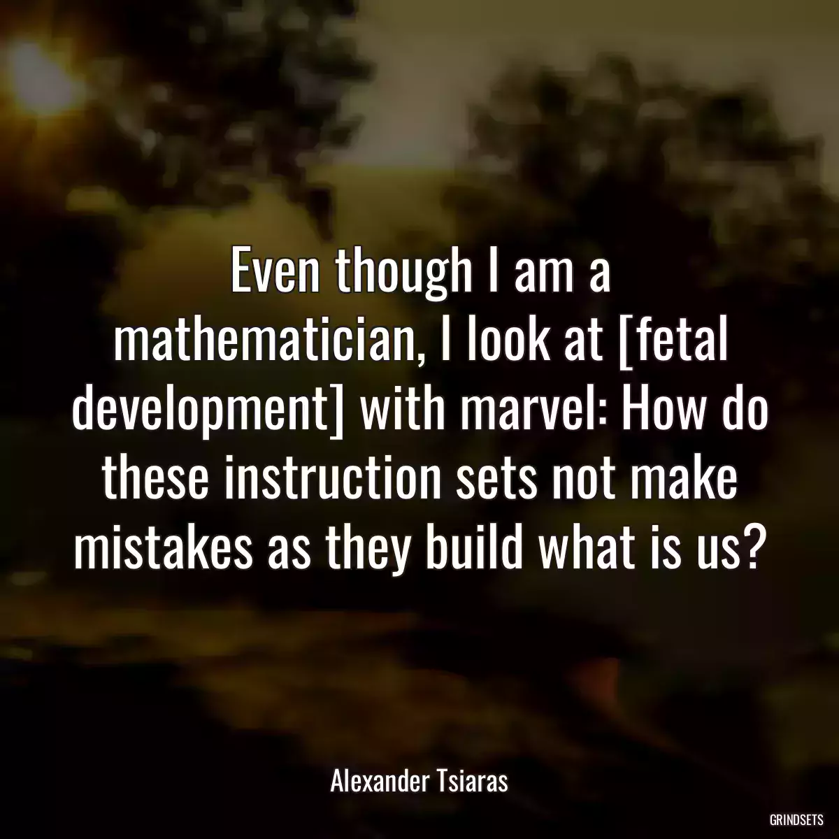 Even though I am a mathematician, I look at [fetal development] with marvel: How do these instruction sets not make mistakes as they build what is us?