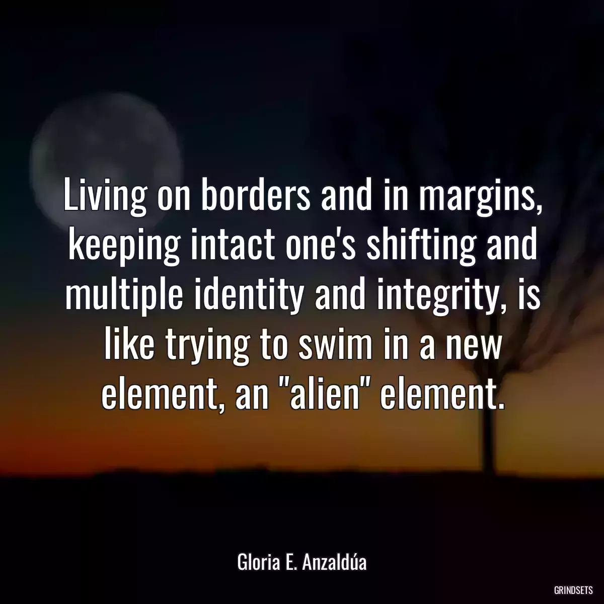 Living on borders and in margins, keeping intact one\'s shifting and multiple identity and integrity, is like trying to swim in a new element, an \