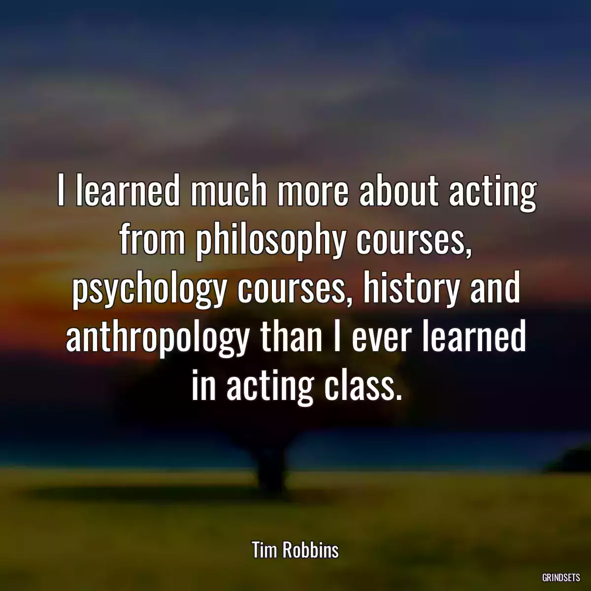 I learned much more about acting from philosophy courses, psychology courses, history and anthropology than I ever learned in acting class.