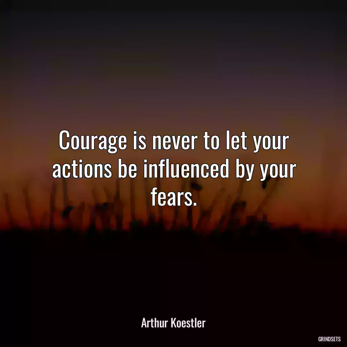 Courage is never to let your actions be influenced by your fears.