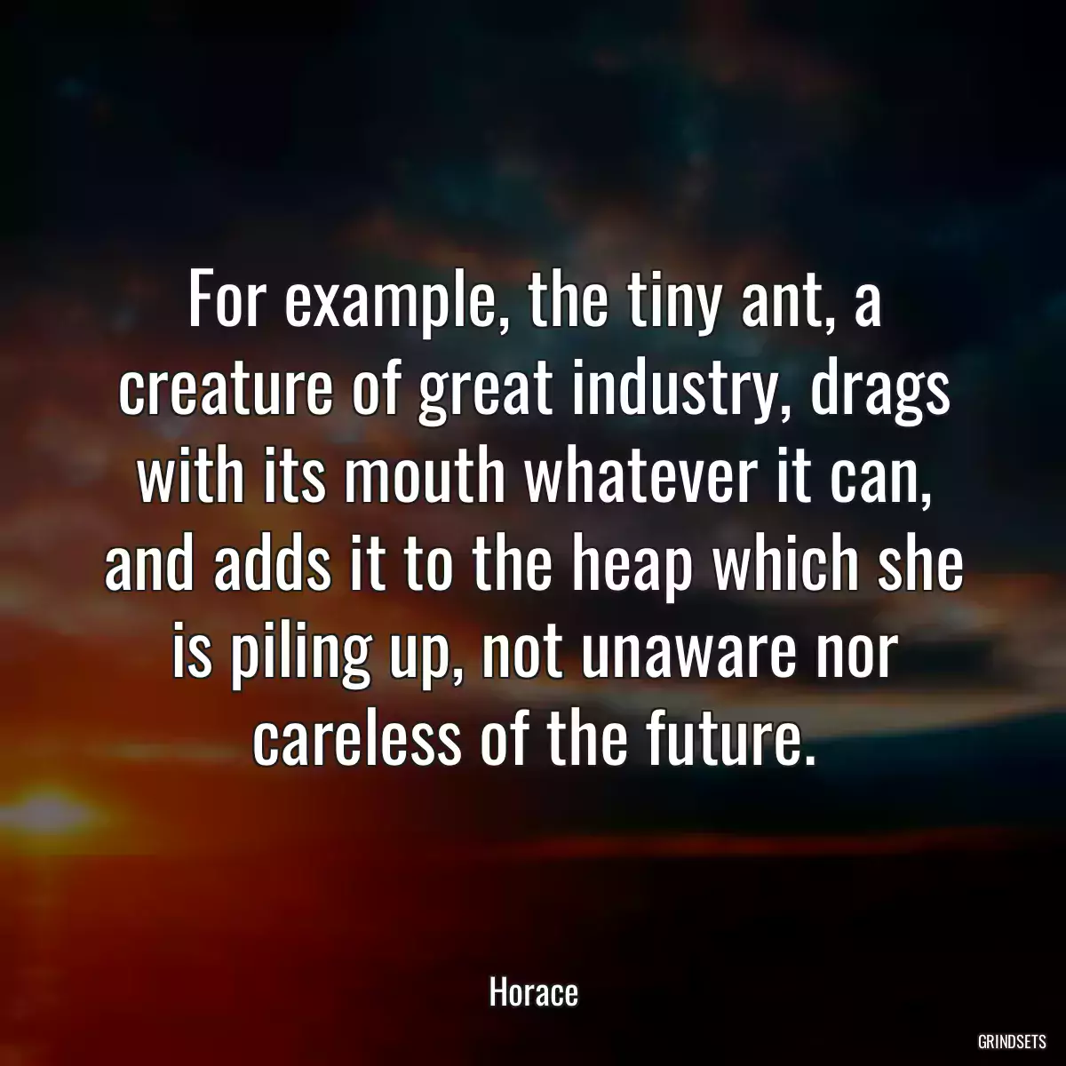 For example, the tiny ant, a creature of great industry, drags with its mouth whatever it can, and adds it to the heap which she is piling up, not unaware nor careless of the future.