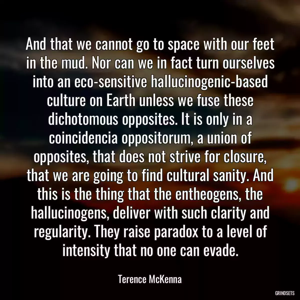 And that we cannot go to space with our feet in the mud. Nor can we in fact turn ourselves into an eco-sensitive hallucinogenic-based culture on Earth unless we fuse these dichotomous opposites. It is only in a coincidencia oppositorum, a union of opposites, that does not strive for closure, that we are going to find cultural sanity. And this is the thing that the entheogens, the hallucinogens, deliver with such clarity and regularity. They raise paradox to a level of intensity that no one can evade.