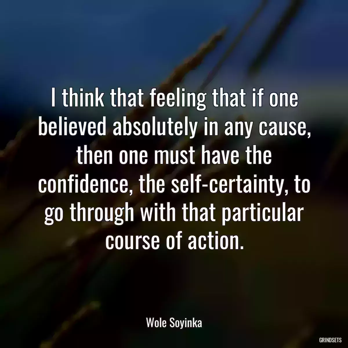 I think that feeling that if one believed absolutely in any cause, then one must have the confidence, the self-certainty, to go through with that particular course of action.