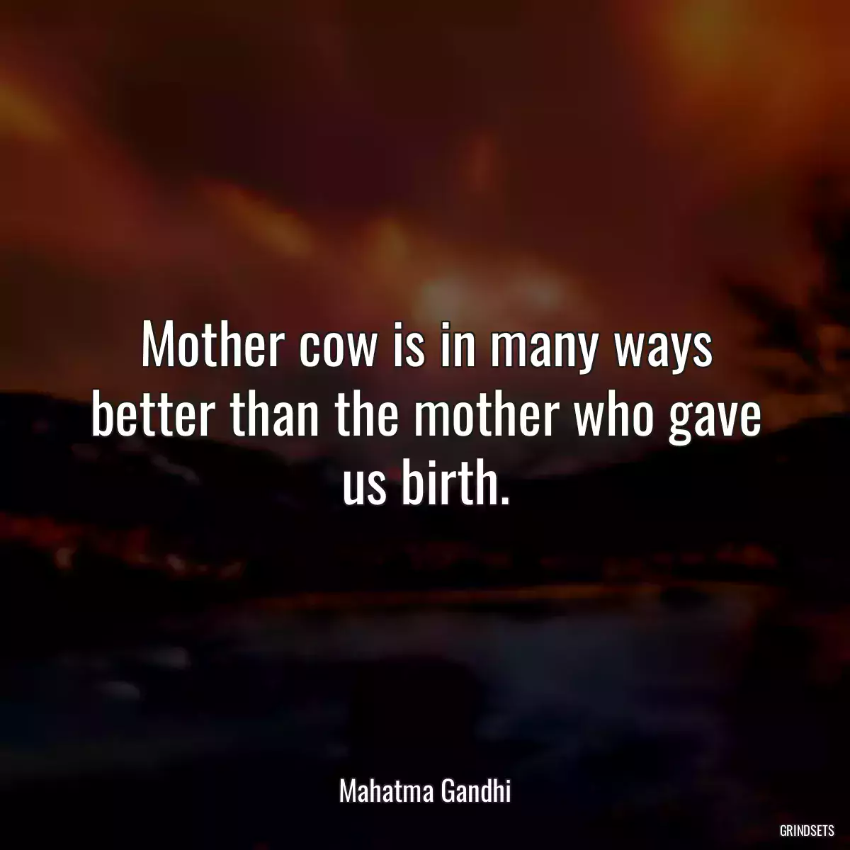 Mother cow is in many ways better than the mother who gave us birth.