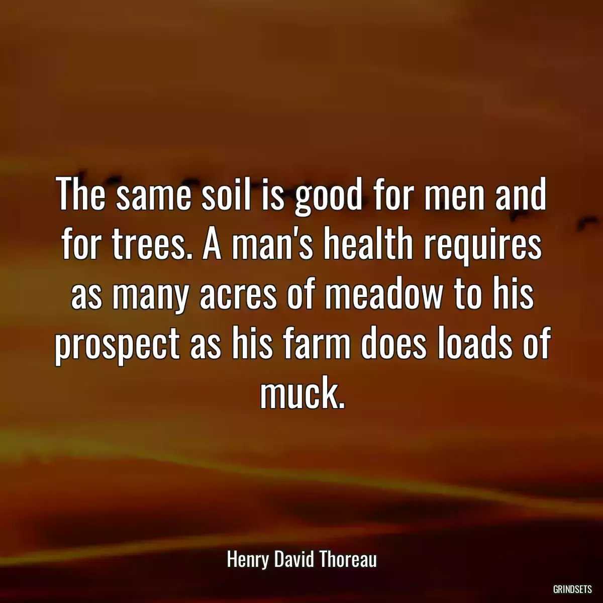 The same soil is good for men and for trees. A man\'s health requires as many acres of meadow to his prospect as his farm does loads of muck.