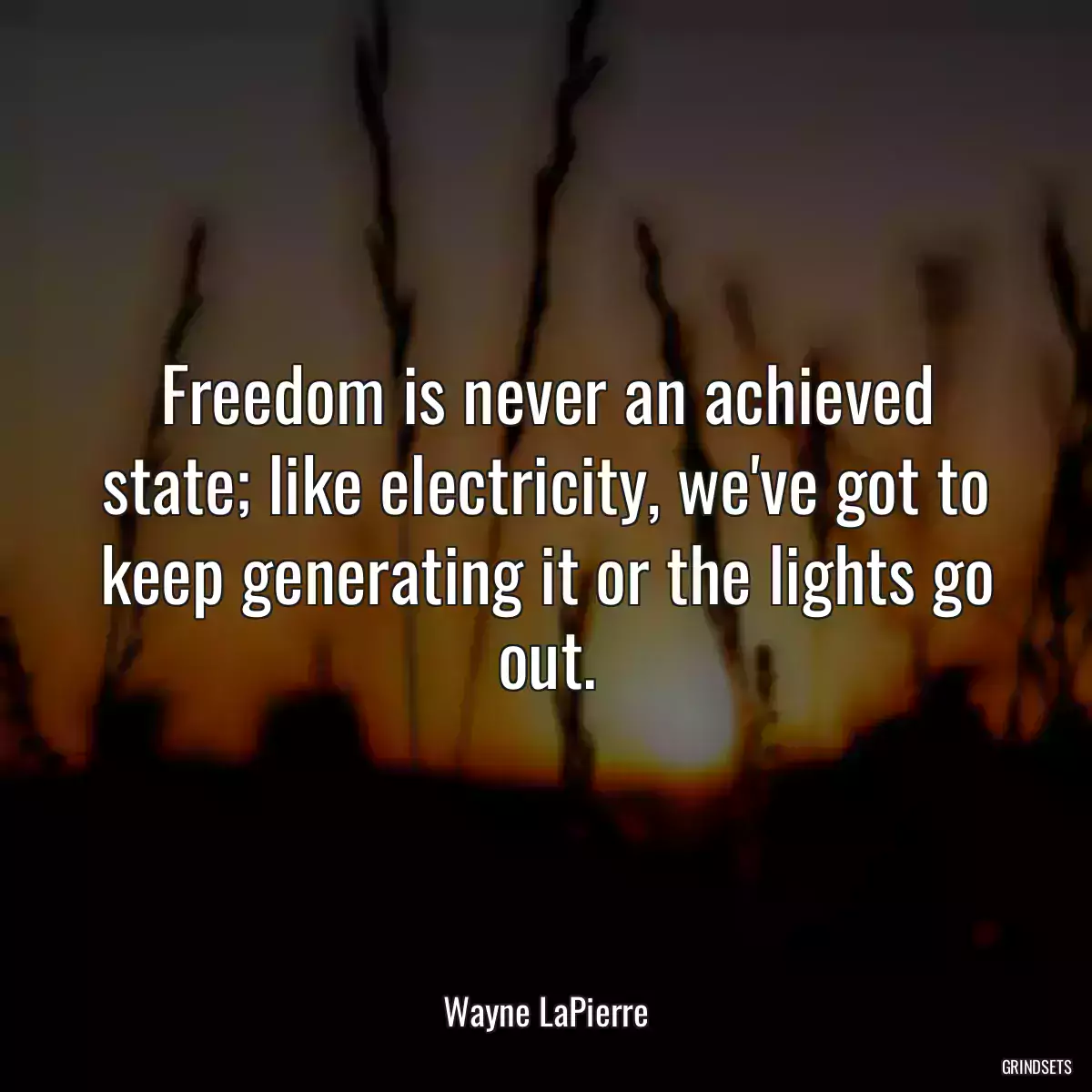 Freedom is never an achieved state; like electricity, we\'ve got to keep generating it or the lights go out.