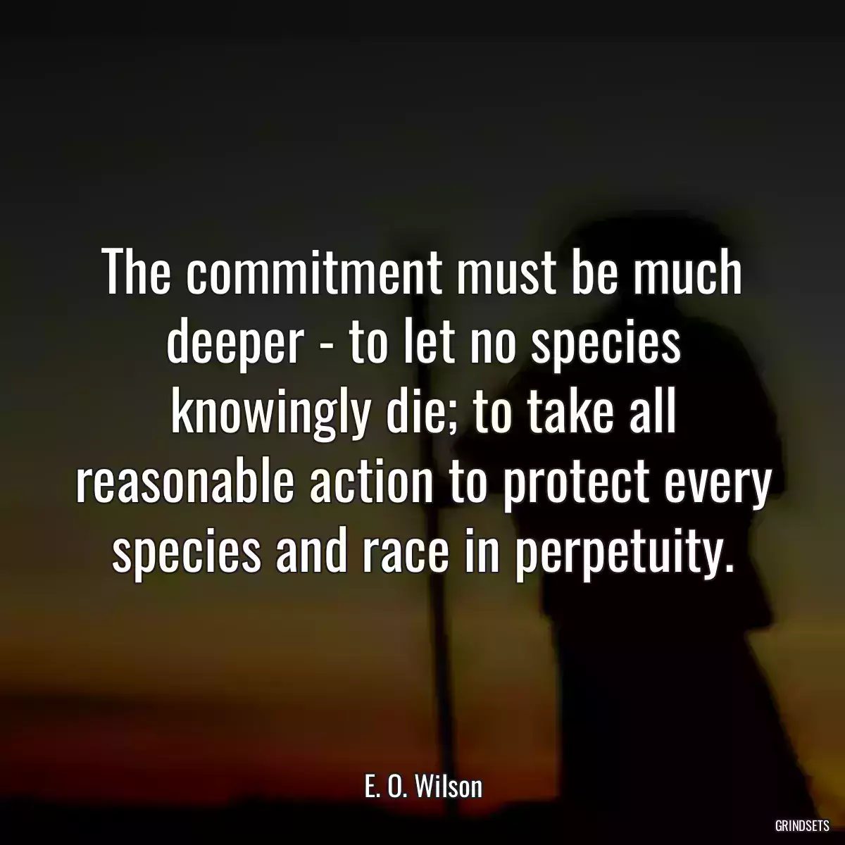 The commitment must be much deeper - to let no species knowingly die; to take all reasonable action to protect every species and race in perpetuity.