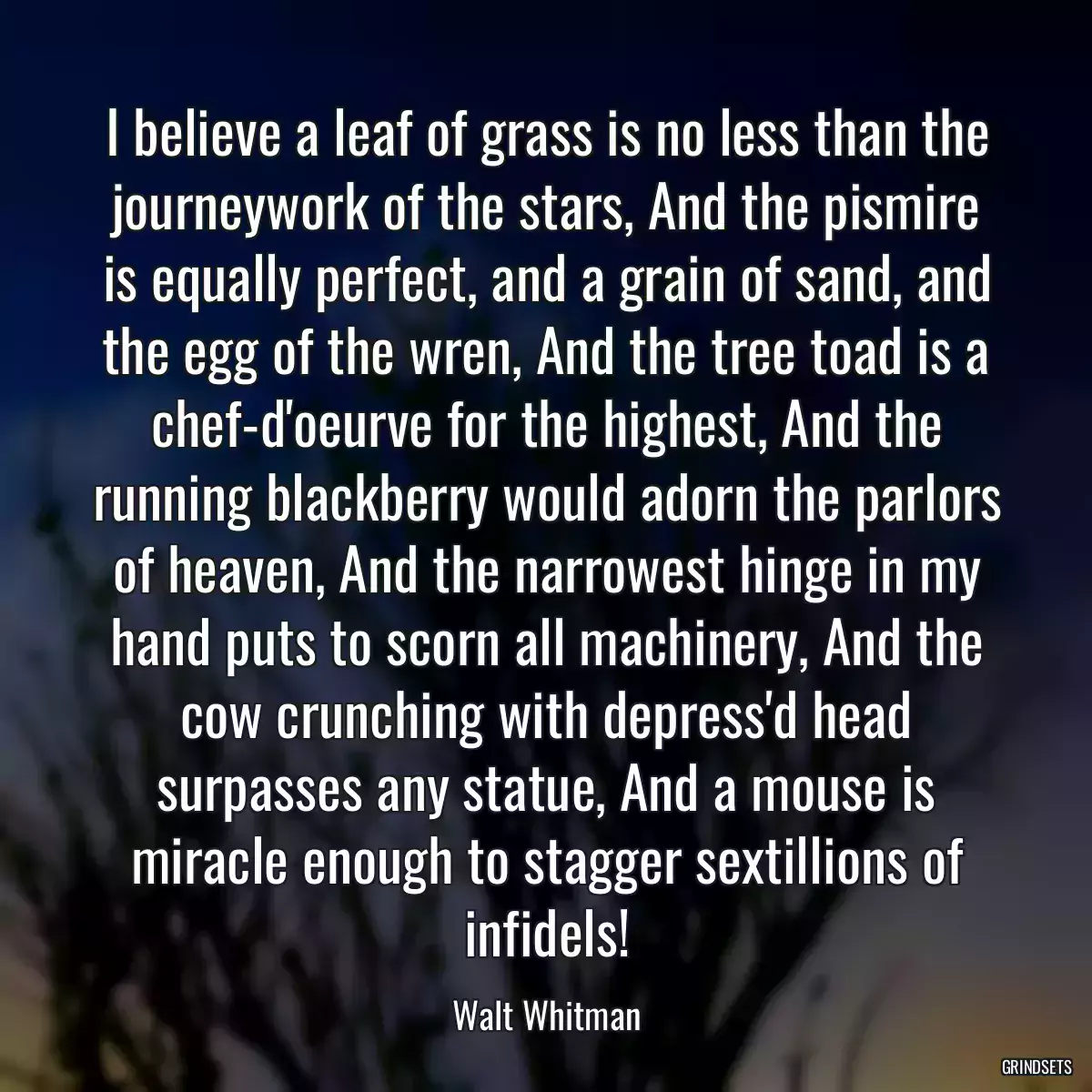 I believe a leaf of grass is no less than the journeywork of the stars, And the pismire is equally perfect, and a grain of sand, and the egg of the wren, And the tree toad is a chef-d\'oeurve for the highest, And the running blackberry would adorn the parlors of heaven, And the narrowest hinge in my hand puts to scorn all machinery, And the cow crunching with depress\'d head surpasses any statue, And a mouse is miracle enough to stagger sextillions of infidels!