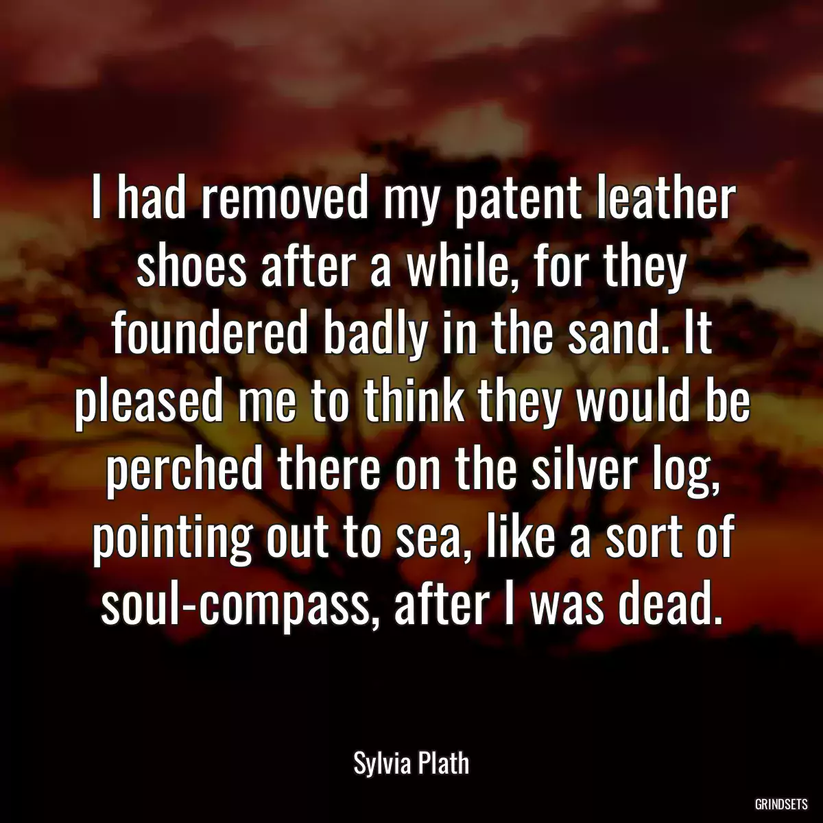 I had removed my patent leather shoes after a while, for they foundered badly in the sand. It pleased me to think they would be perched there on the silver log, pointing out to sea, like a sort of soul-compass, after I was dead.