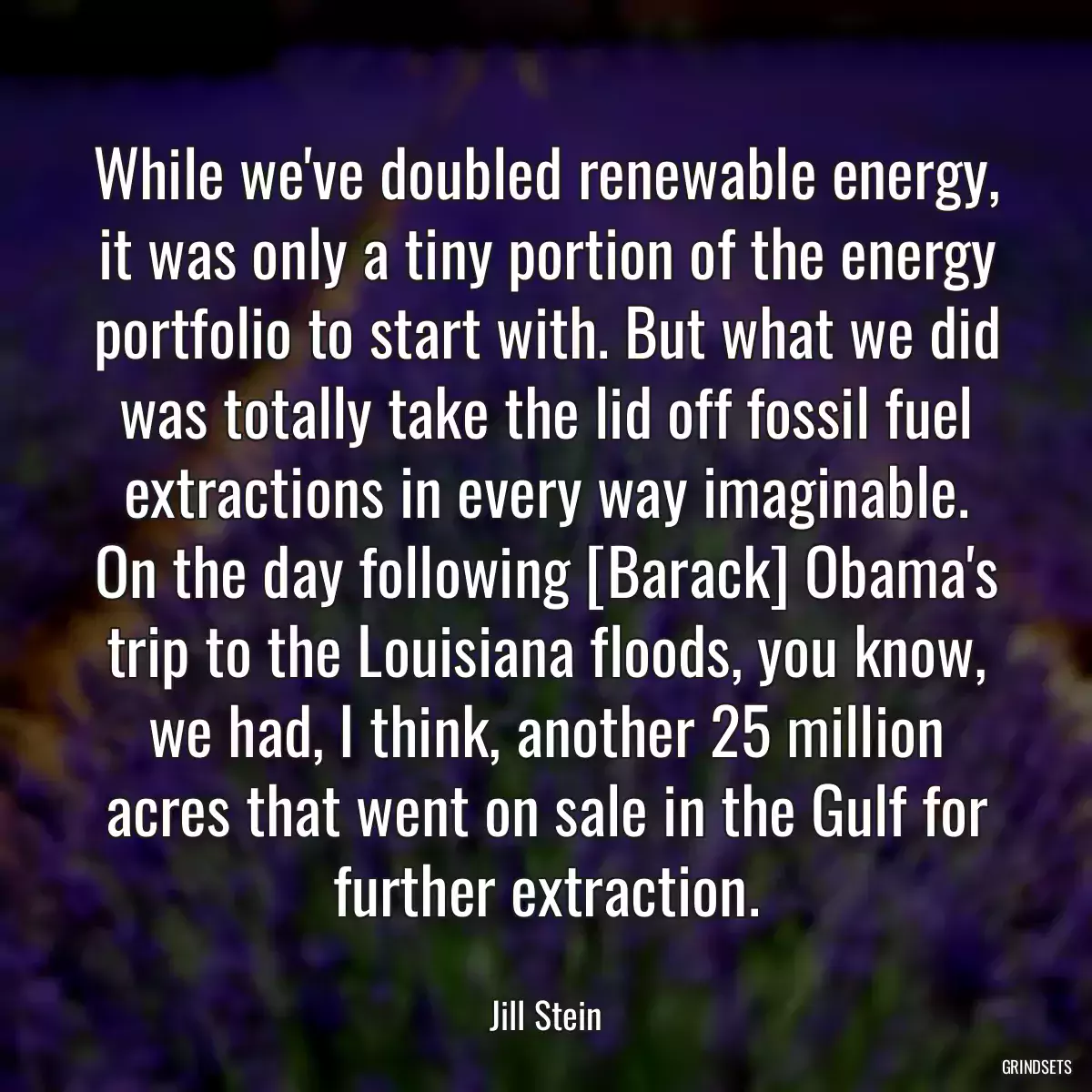 While we\'ve doubled renewable energy, it was only a tiny portion of the energy portfolio to start with. But what we did was totally take the lid off fossil fuel extractions in every way imaginable. On the day following [Barack] Obama\'s trip to the Louisiana floods, you know, we had, I think, another 25 million acres that went on sale in the Gulf for further extraction.