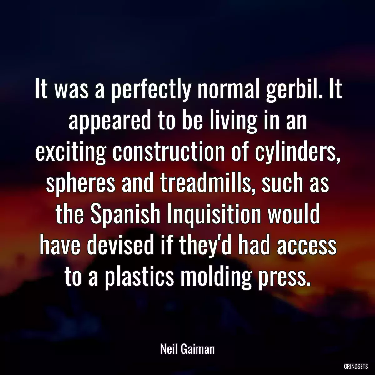 It was a perfectly normal gerbil. It appeared to be living in an exciting construction of cylinders, spheres and treadmills, such as the Spanish Inquisition would have devised if they\'d had access to a plastics molding press.