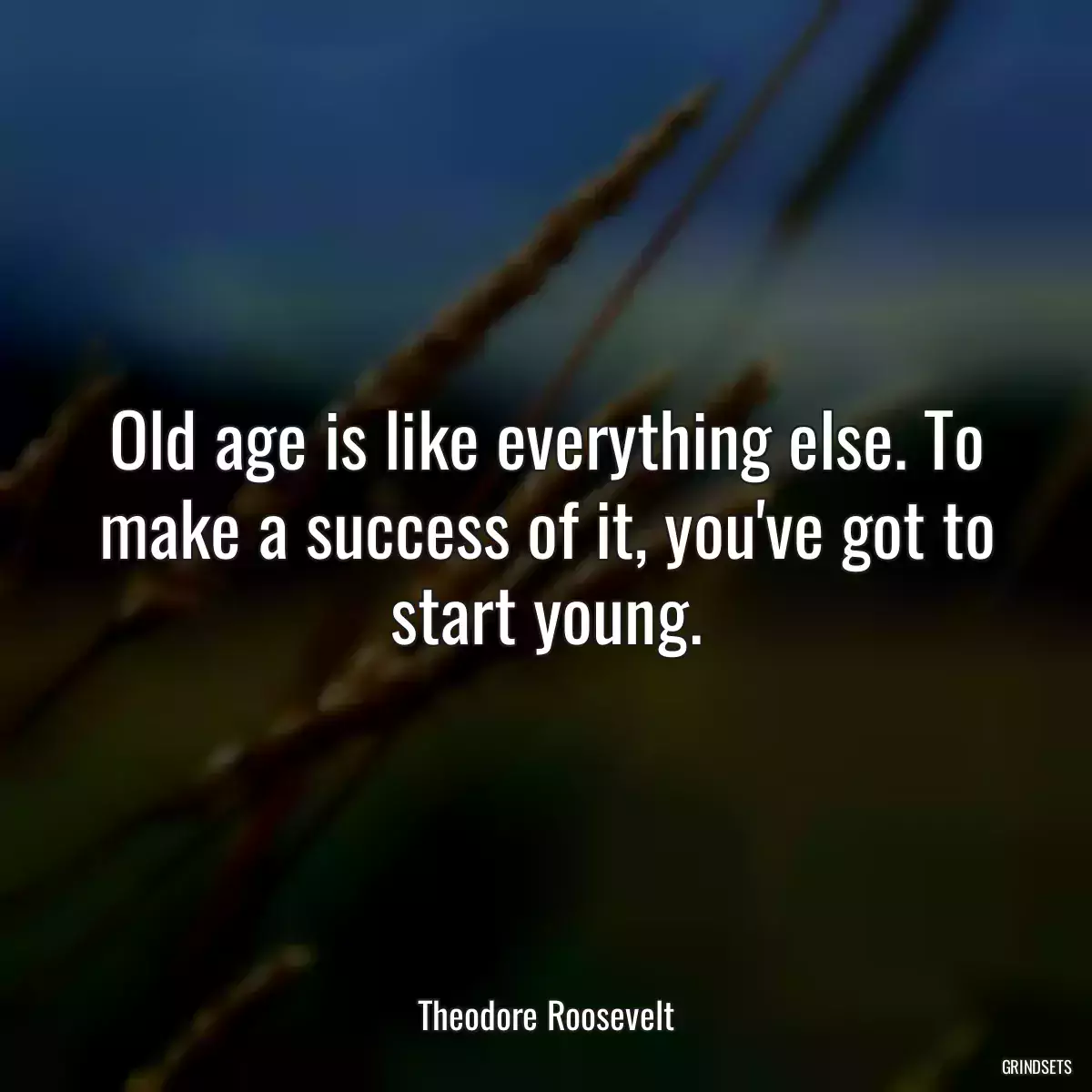Old age is like everything else. To make a success of it, you\'ve got to start young.