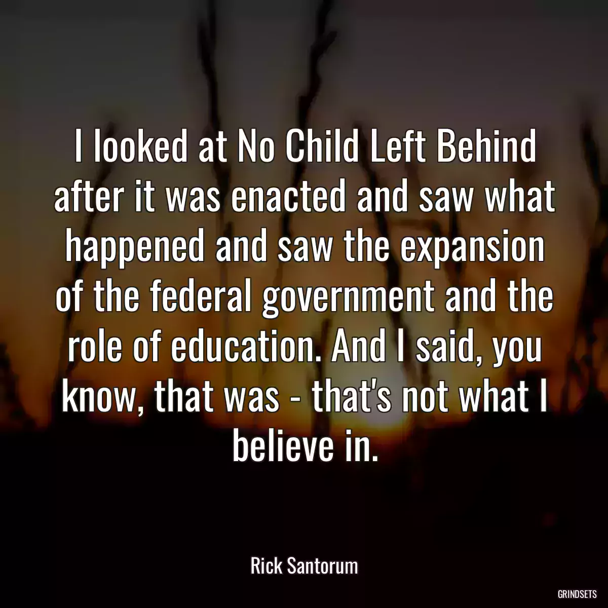 I looked at No Child Left Behind after it was enacted and saw what happened and saw the expansion of the federal government and the role of education. And I said, you know, that was - that\'s not what I believe in.