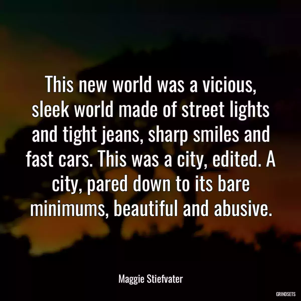 This new world was a vicious, sleek world made of street lights and tight jeans, sharp smiles and fast cars. This was a city, edited. A city, pared down to its bare minimums, beautiful and abusive.