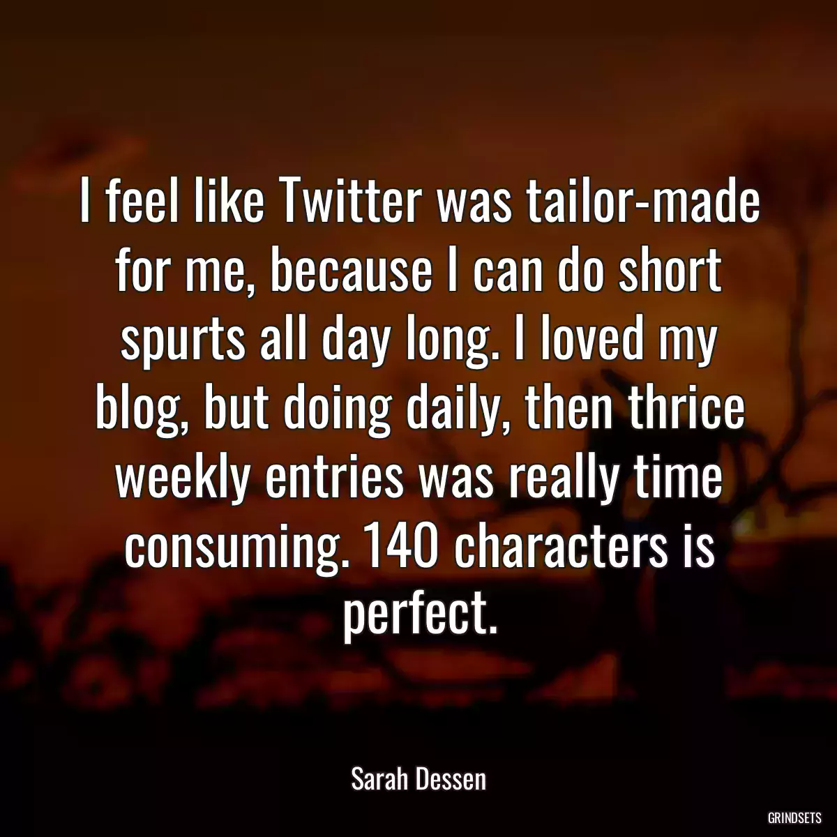 I feel like Twitter was tailor-made for me, because I can do short spurts all day long. I loved my blog, but doing daily, then thrice weekly entries was really time consuming. 140 characters is perfect.