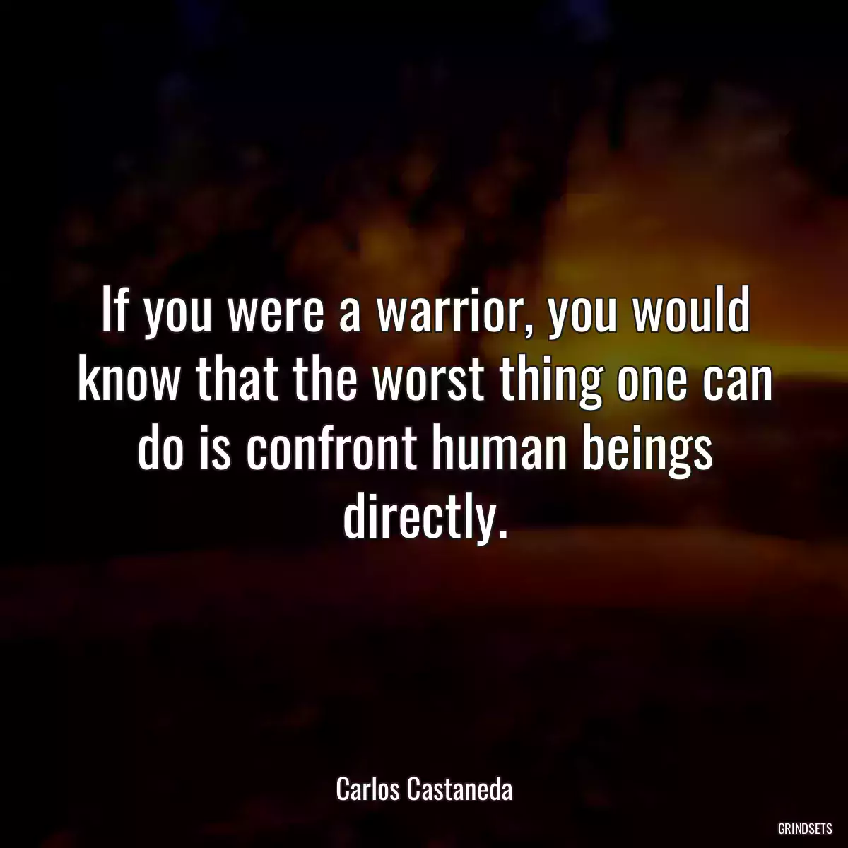 If you were a warrior, you would know that the worst thing one can do is confront human beings directly.