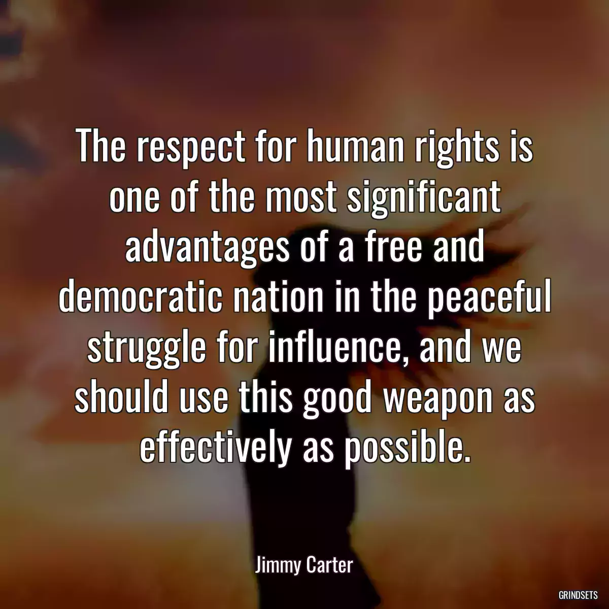 The respect for human rights is one of the most significant advantages of a free and democratic nation in the peaceful struggle for influence, and we should use this good weapon as effectively as possible.