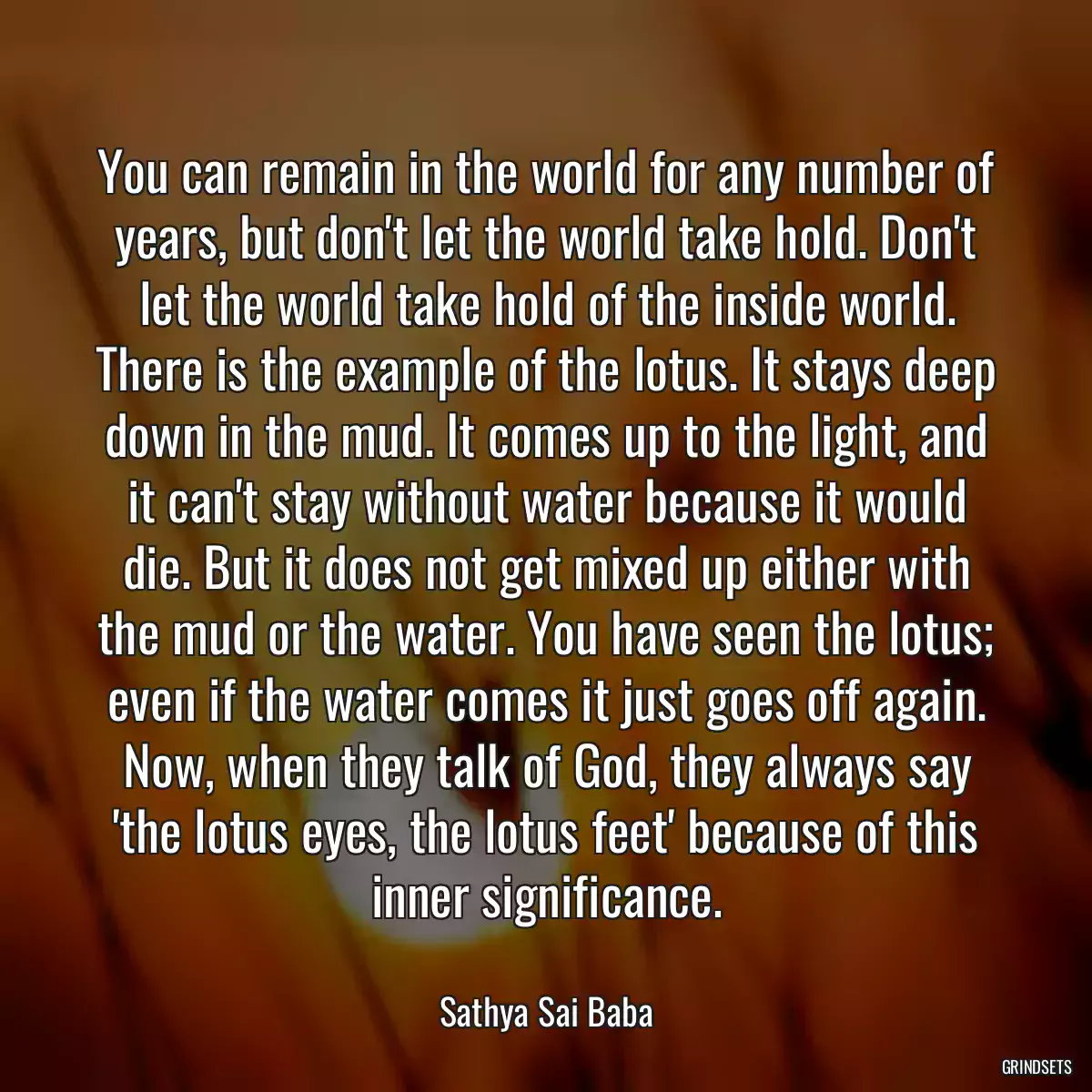 You can remain in the world for any number of years, but don\'t let the world take hold. Don\'t let the world take hold of the inside world. There is the example of the lotus. It stays deep down in the mud. It comes up to the light, and it can\'t stay without water because it would die. But it does not get mixed up either with the mud or the water. You have seen the lotus; even if the water comes it just goes off again. Now, when they talk of God, they always say \'the lotus eyes, the lotus feet\' because of this inner significance.