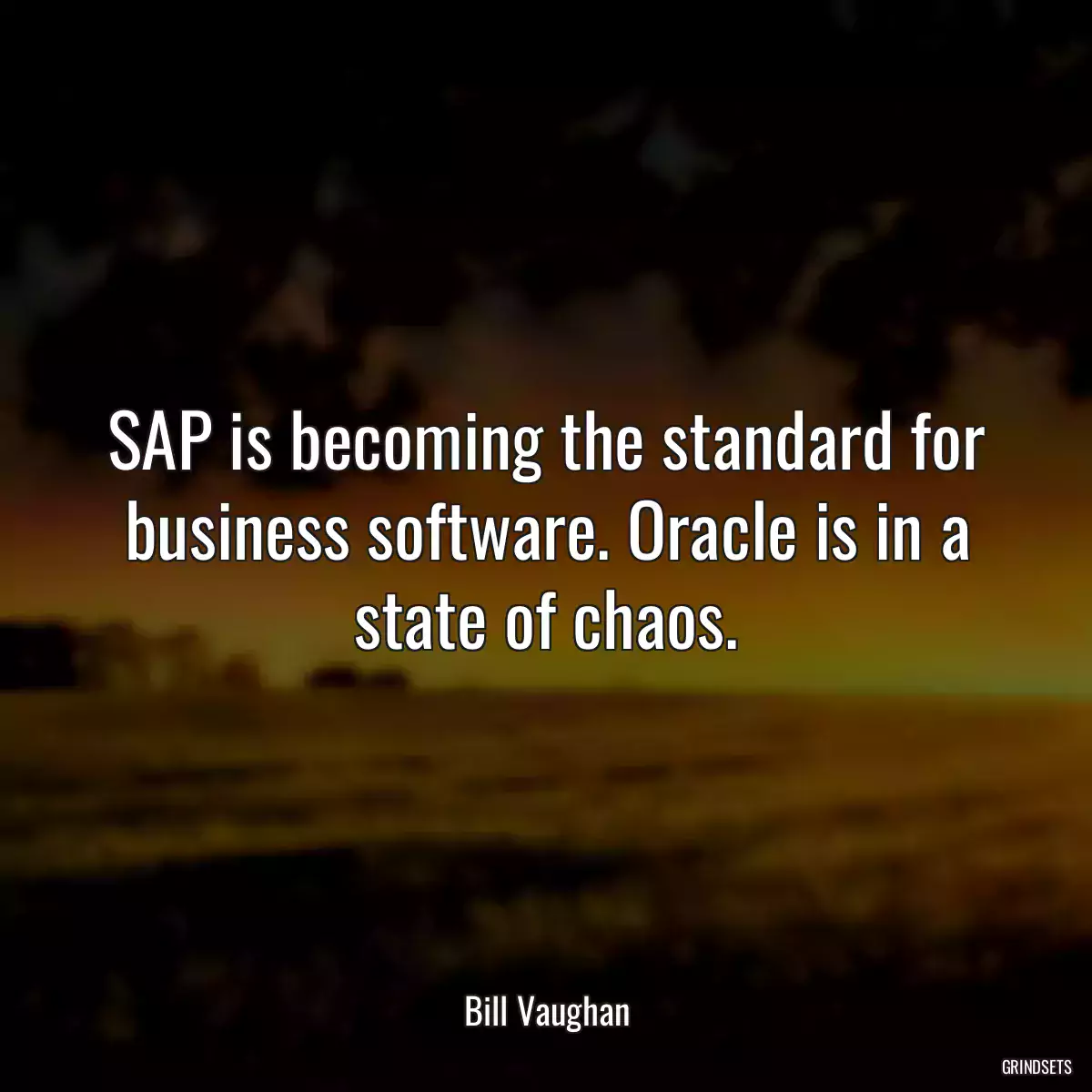 SAP is becoming the standard for business software. Oracle is in a state of chaos.