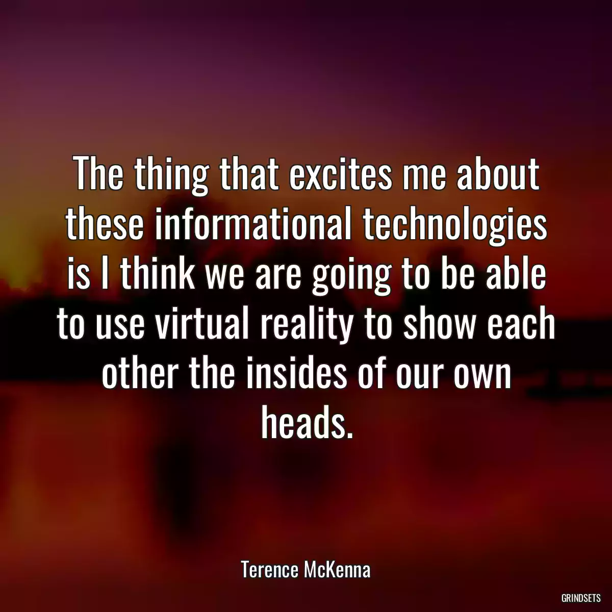 The thing that excites me about these informational technologies is I think we are going to be able to use virtual reality to show each other the insides of our own heads.