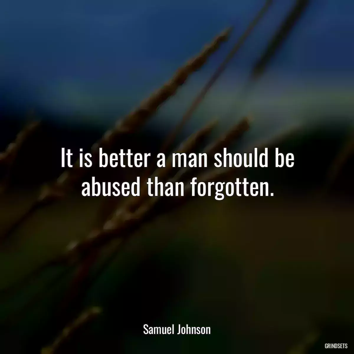 It is better a man should be abused than forgotten.