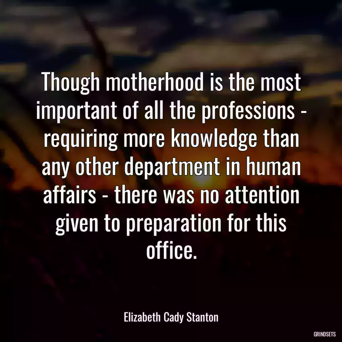 Though motherhood is the most important of all the professions - requiring more knowledge than any other department in human affairs - there was no attention given to preparation for this office.