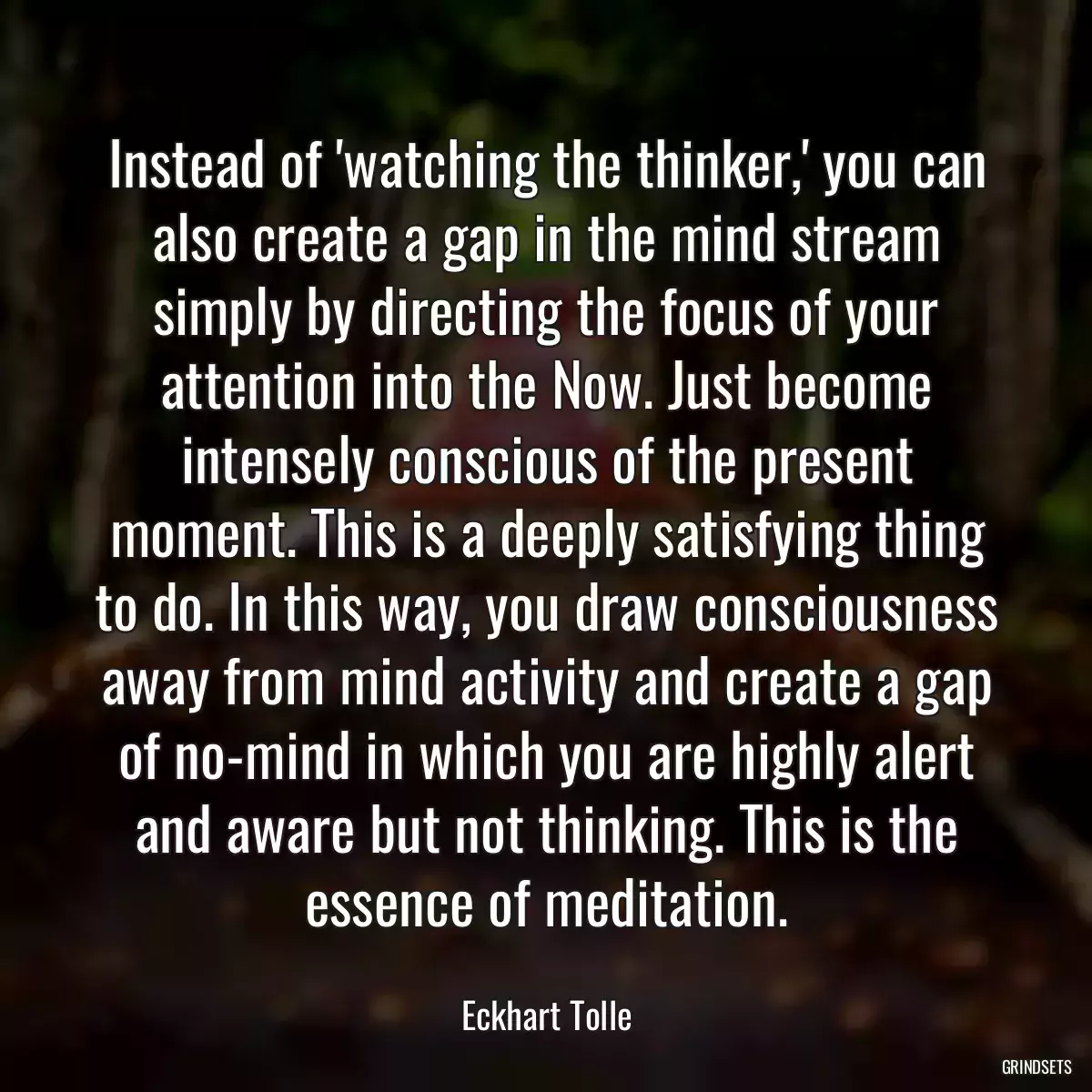 Instead of \'watching the thinker,\' you can also create a gap in the mind stream simply by directing the focus of your attention into the Now. Just become intensely conscious of the present moment. This is a deeply satisfying thing to do. In this way, you draw consciousness away from mind activity and create a gap of no-mind in which you are highly alert and aware but not thinking. This is the essence of meditation.