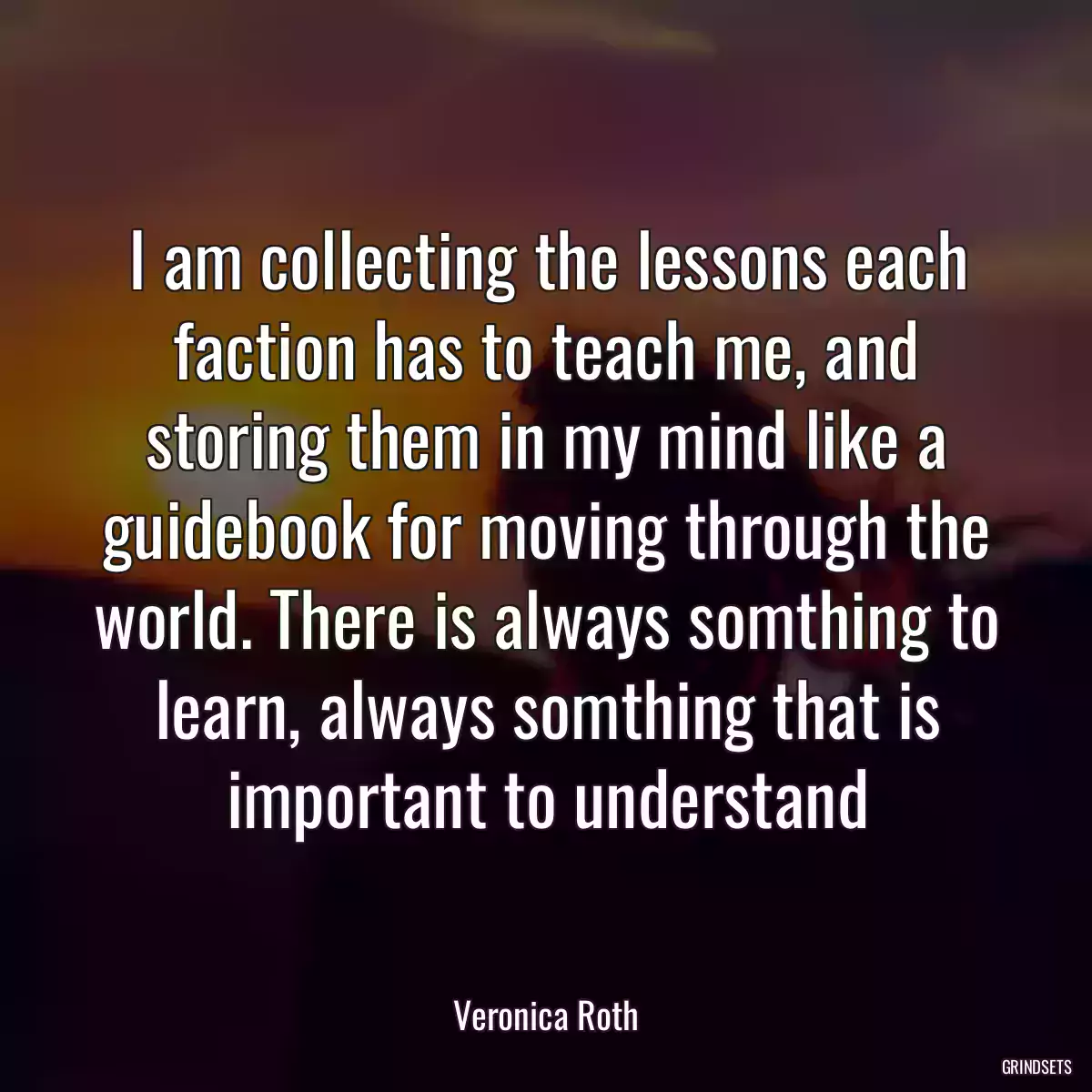 I am collecting the lessons each faction has to teach me, and storing them in my mind like a guidebook for moving through the world. There is always somthing to learn, always somthing that is important to understand