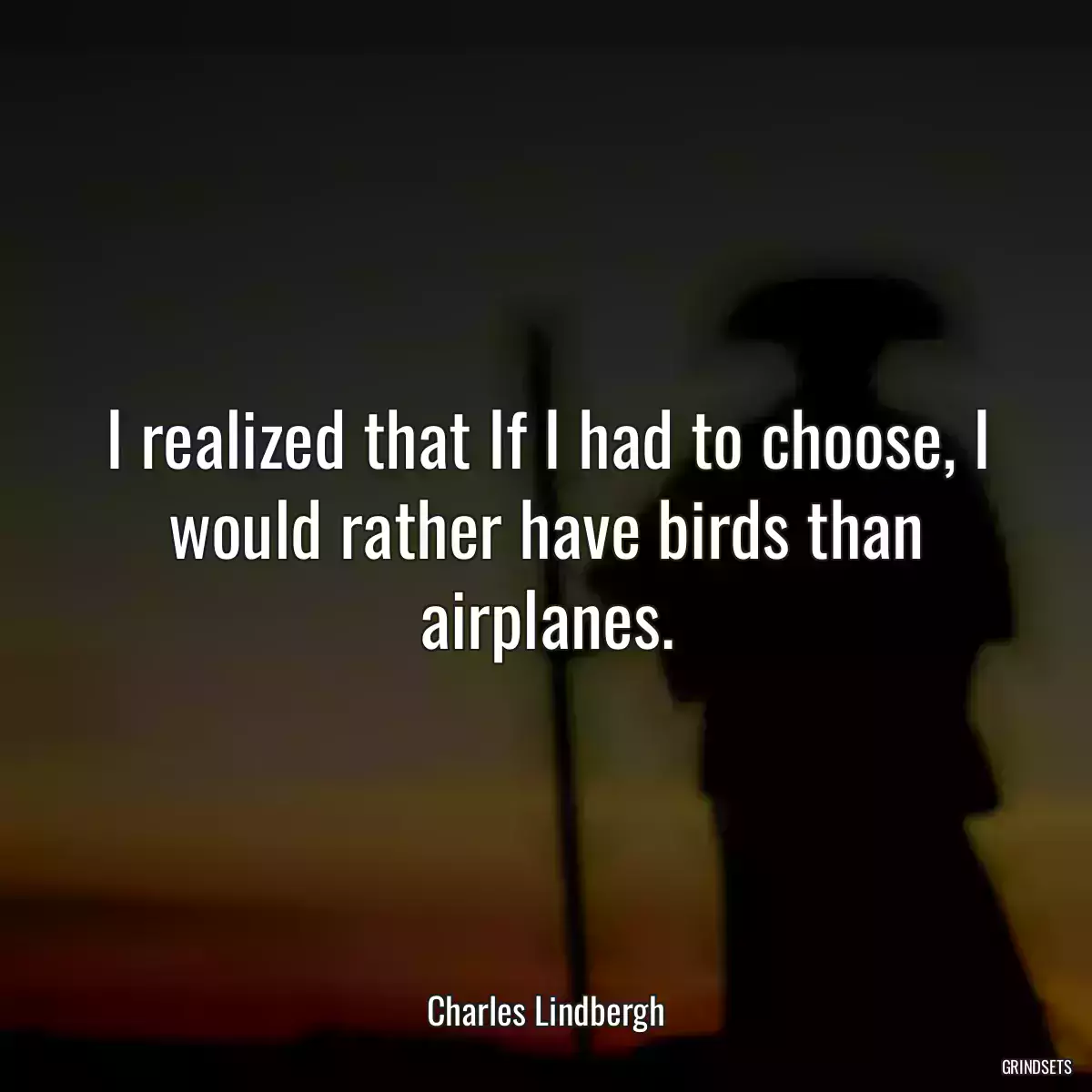 I realized that If I had to choose, I would rather have birds than airplanes.