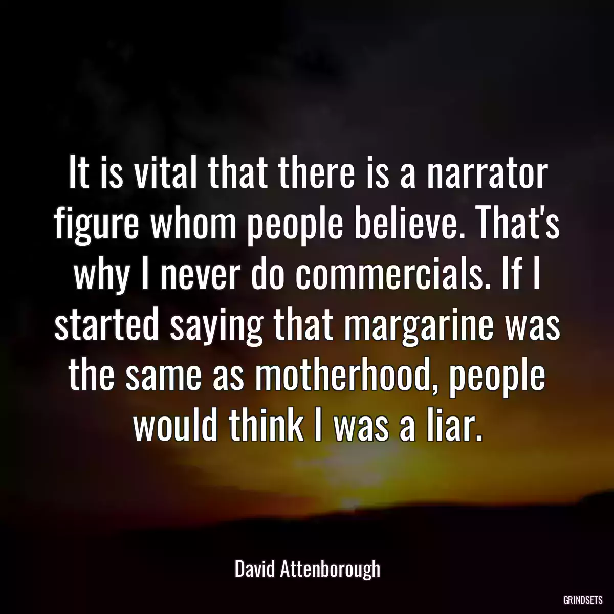 It is vital that there is a narrator figure whom people believe. That\'s why I never do commercials. If I started saying that margarine was the same as motherhood, people would think I was a liar.