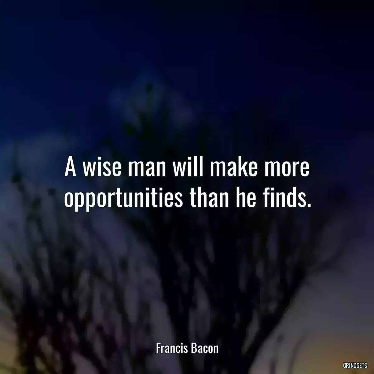 A wise man will make more opportunities than he finds.