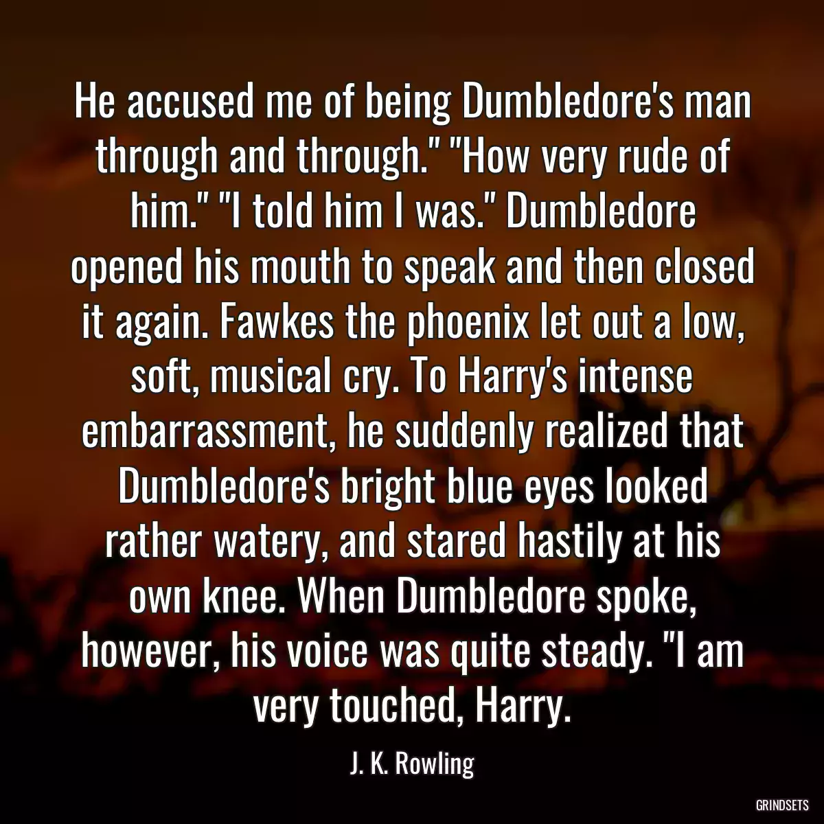 He accused me of being Dumbledore\'s man through and through.\