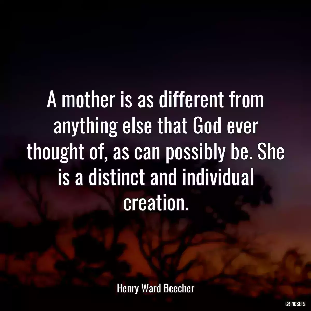 A mother is as different from anything else that God ever thought of, as can possibly be. She is a distinct and individual creation.