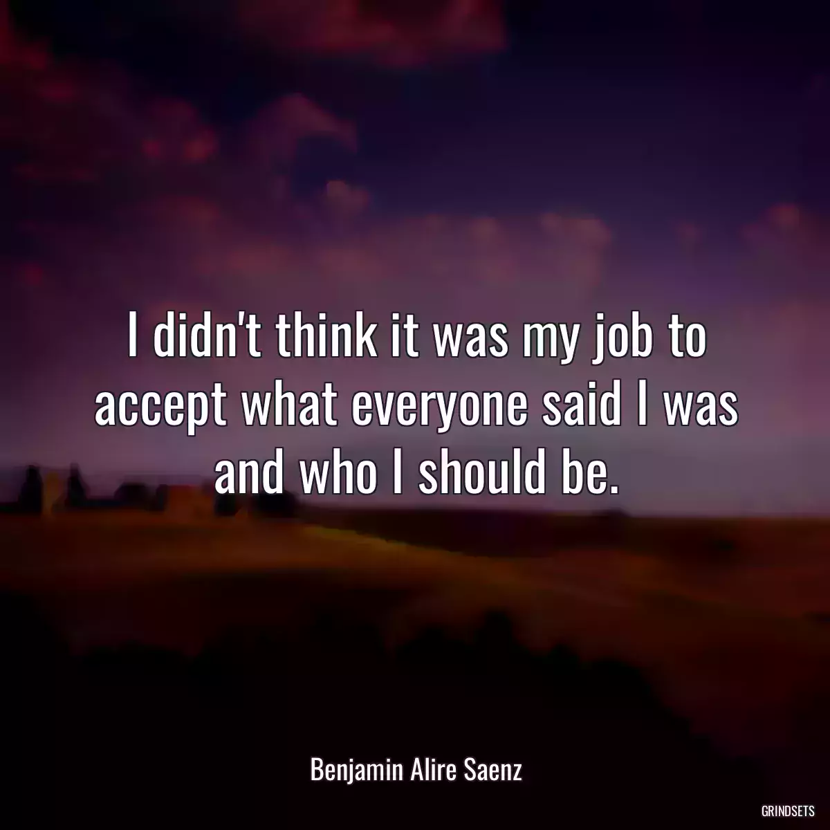 I didn\'t think it was my job to accept what everyone said I was and who I should be.