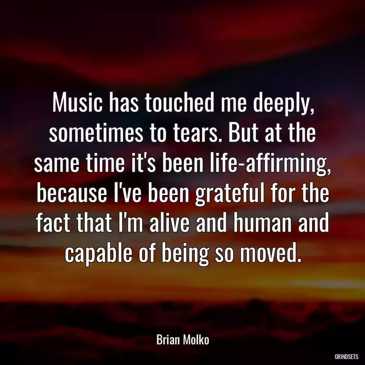 Music has touched me deeply, sometimes to tears. But at the same time it\'s been life-affirming, because I\'ve been grateful for the fact that I\'m alive and human and capable of being so moved.