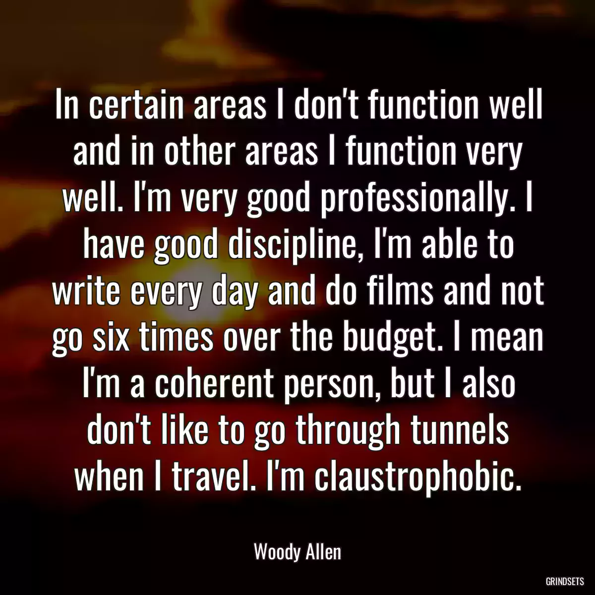 In certain areas I don\'t function well and in other areas I function very well. I\'m very good professionally. I have good discipline, I\'m able to write every day and do films and not go six times over the budget. I mean I\'m a coherent person, but I also don\'t like to go through tunnels when I travel. I\'m claustrophobic.