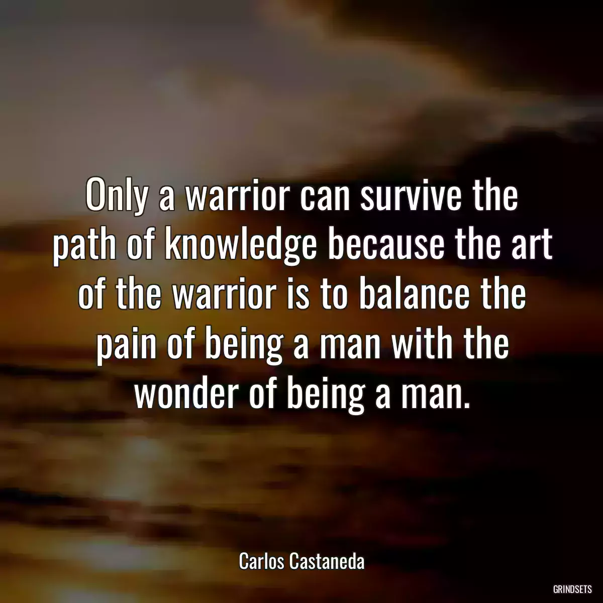 Only a warrior can survive the path of knowledge because the art of the warrior is to balance the pain of being a man with the wonder of being a man.