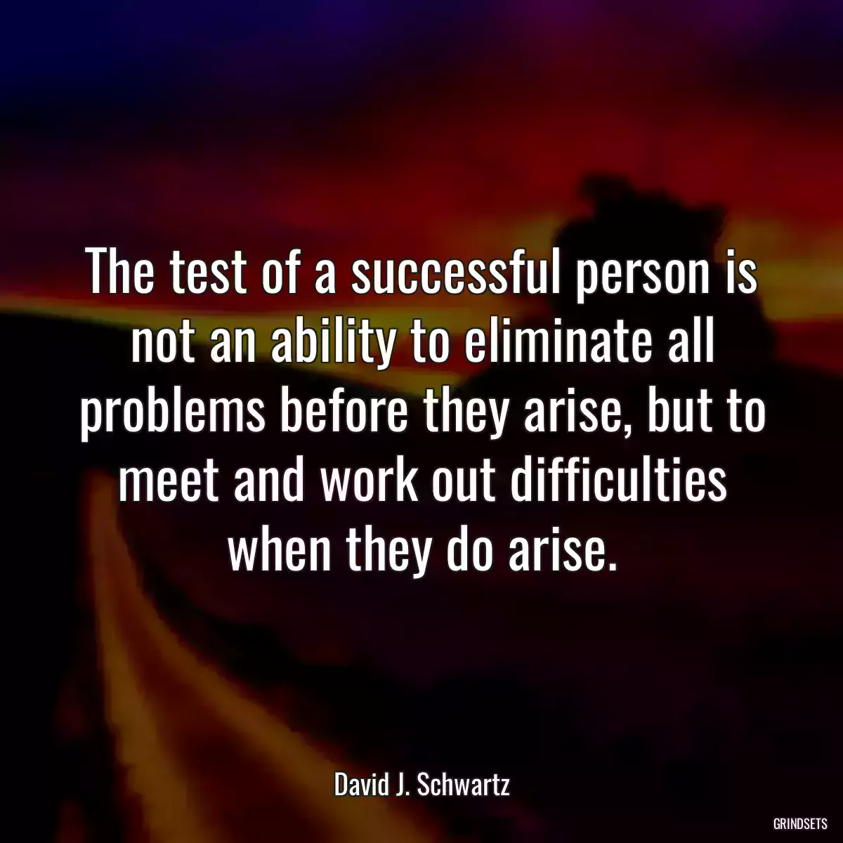 The test of a successful person is not an ability to eliminate all problems before they arise, but to meet and work out difficulties when they do arise.