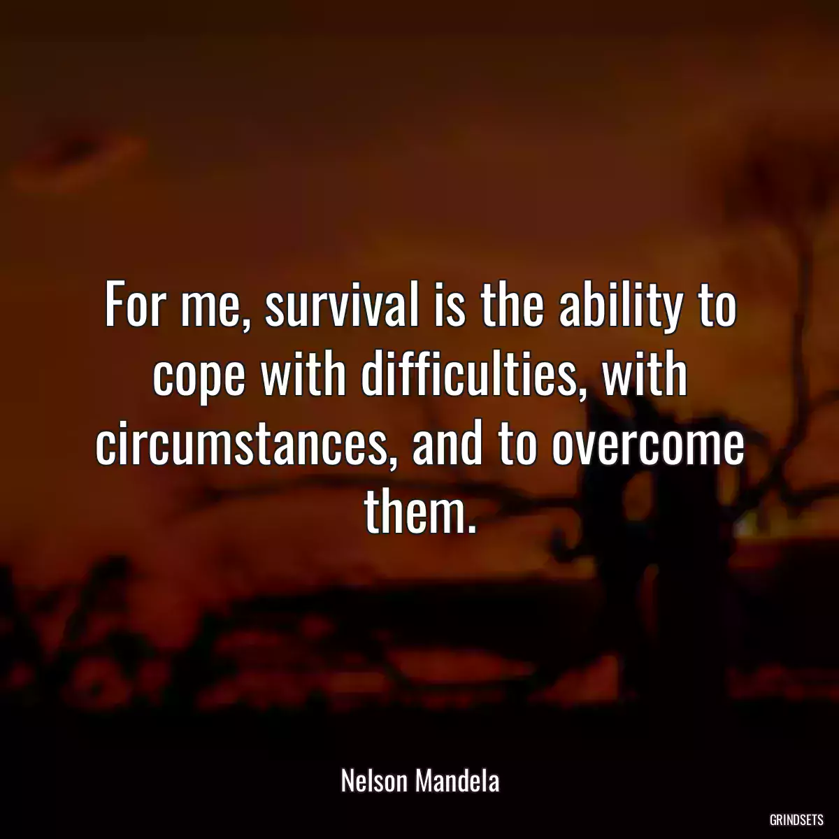 For me, survival is the ability to cope with difficulties, with circumstances, and to overcome them.