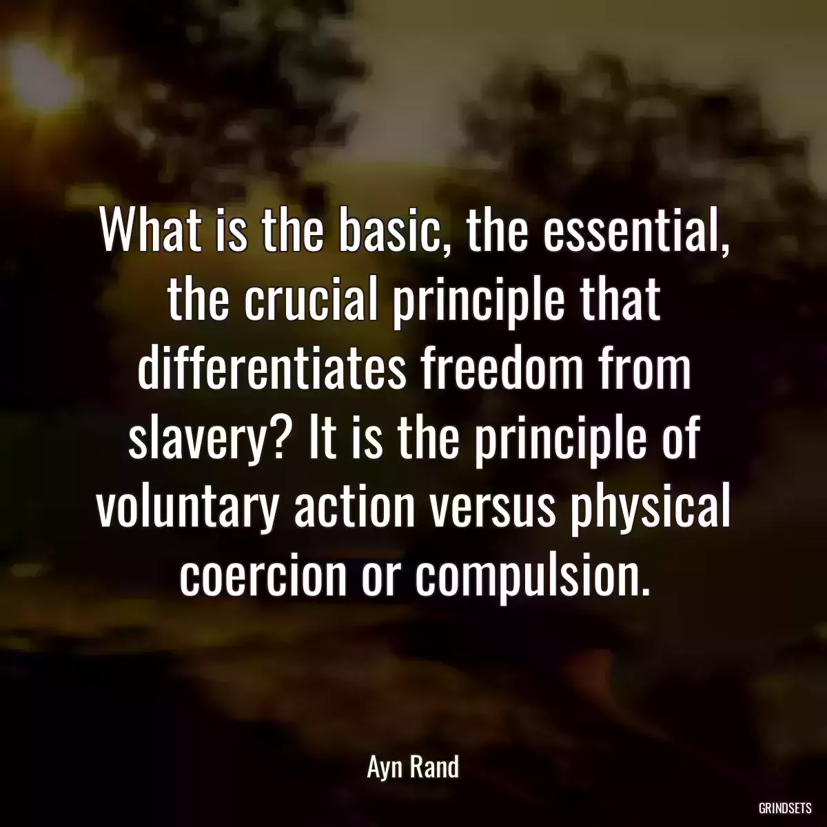 What is the basic, the essential, the crucial principle that differentiates freedom from slavery? It is the principle of voluntary action versus physical coercion or compulsion.