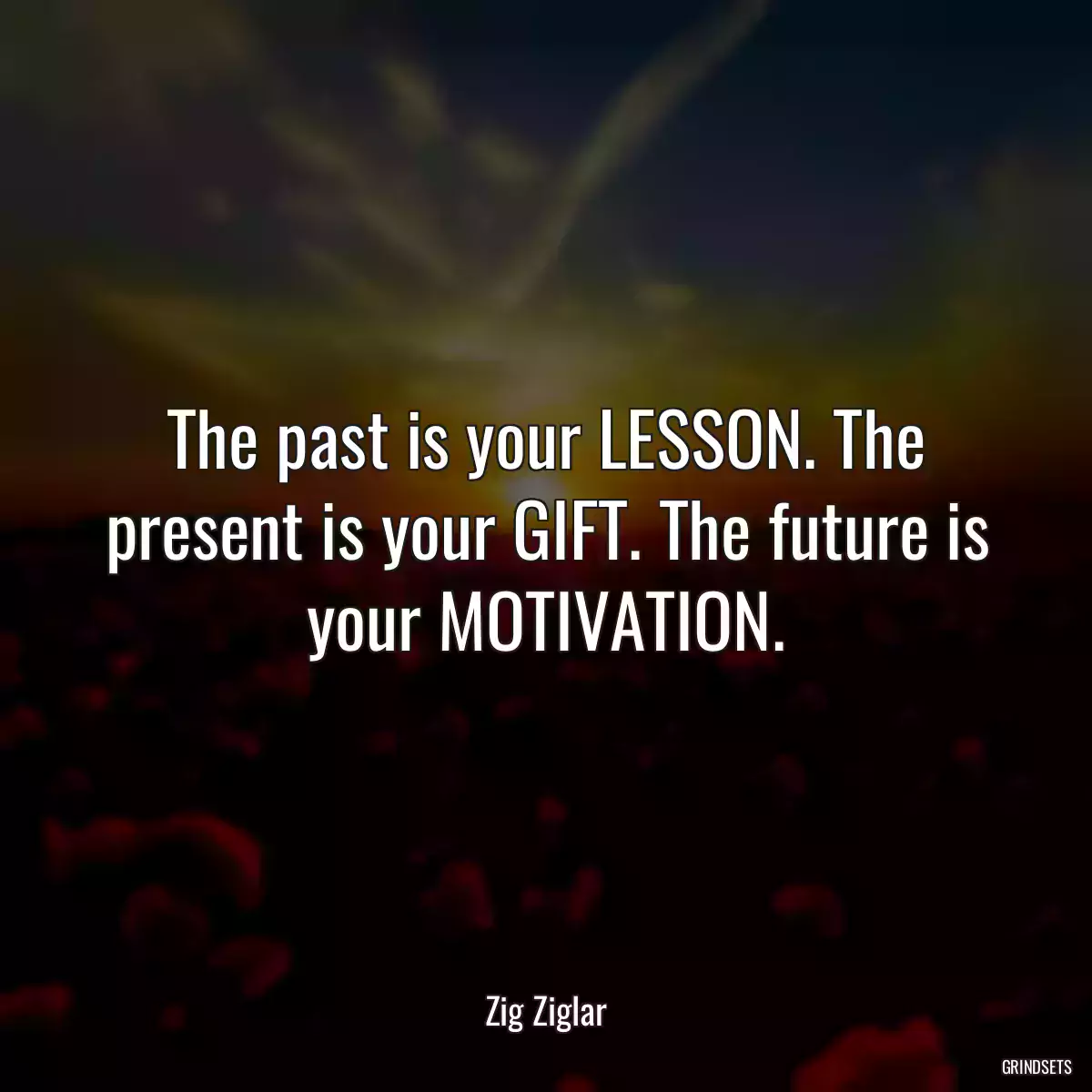 The past is your LESSON. The present is your GIFT. The future is your MOTIVATION.