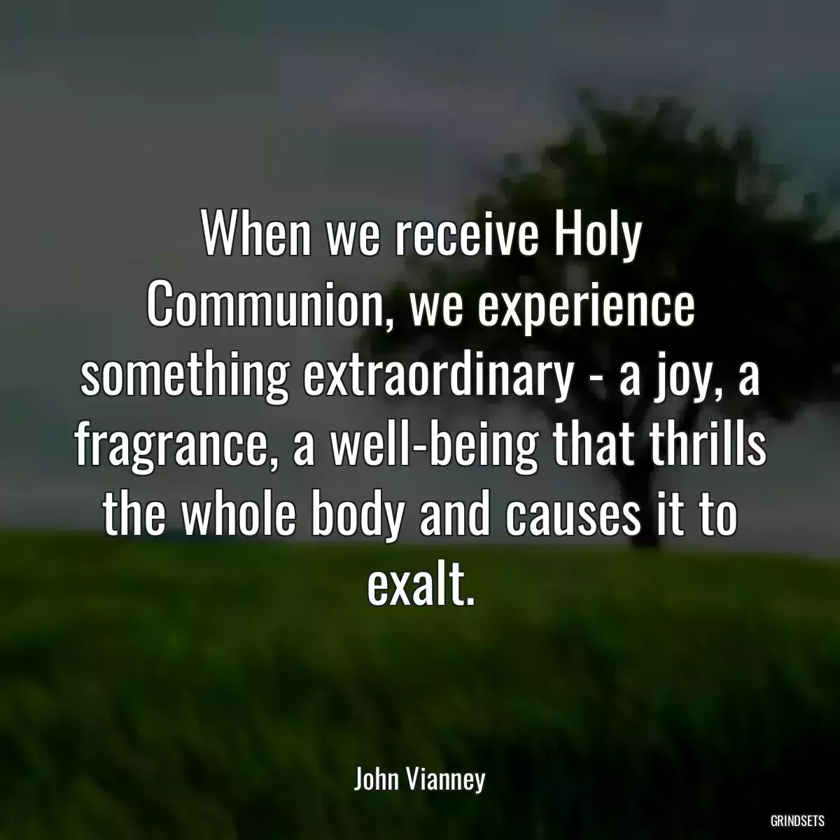 When we receive Holy Communion, we experience something extraordinary - a joy, a fragrance, a well-being that thrills the whole body and causes it to exalt.