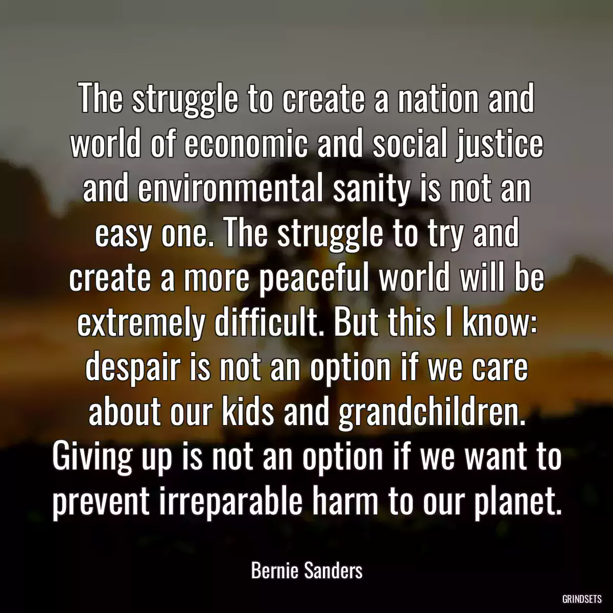 The struggle to create a nation and world of economic and social justice and environmental sanity is not an easy one. The struggle to try and create a more peaceful world will be extremely difficult. But this I know: despair is not an option if we care about our kids and grandchildren. Giving up is not an option if we want to prevent irreparable harm to our planet.