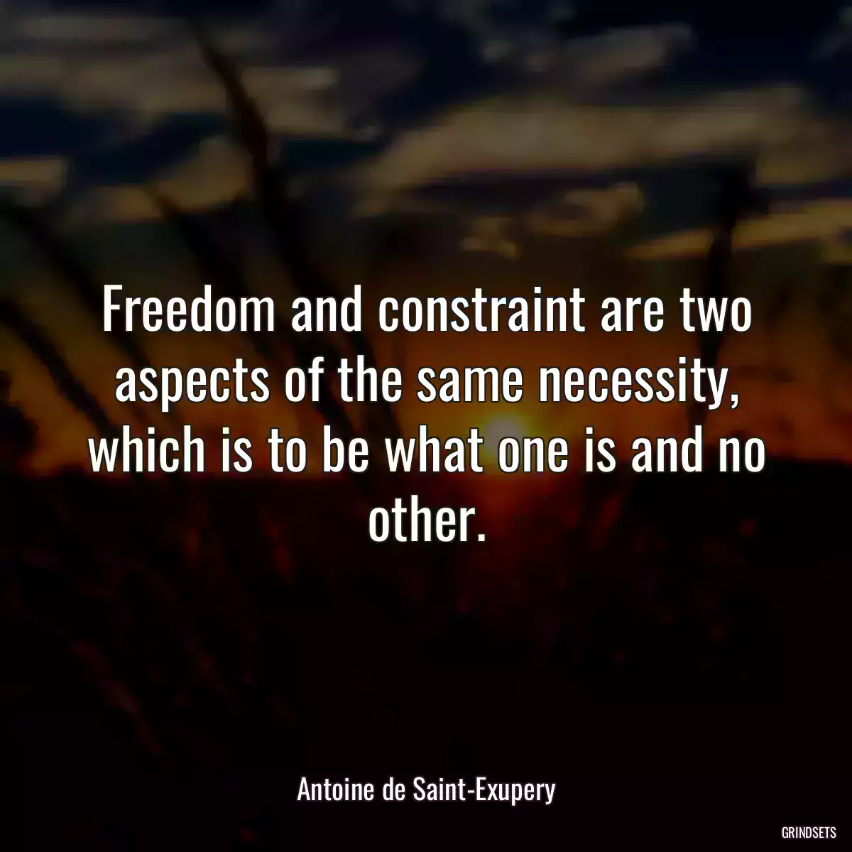 Freedom and constraint are two aspects of the same necessity, which is to be what one is and no other.