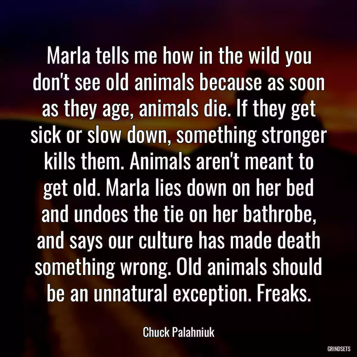 Marla tells me how in the wild you don\'t see old animals because as soon as they age, animals die. If they get sick or slow down, something stronger kills them. Animals aren\'t meant to get old. Marla lies down on her bed and undoes the tie on her bathrobe, and says our culture has made death something wrong. Old animals should be an unnatural exception. Freaks.