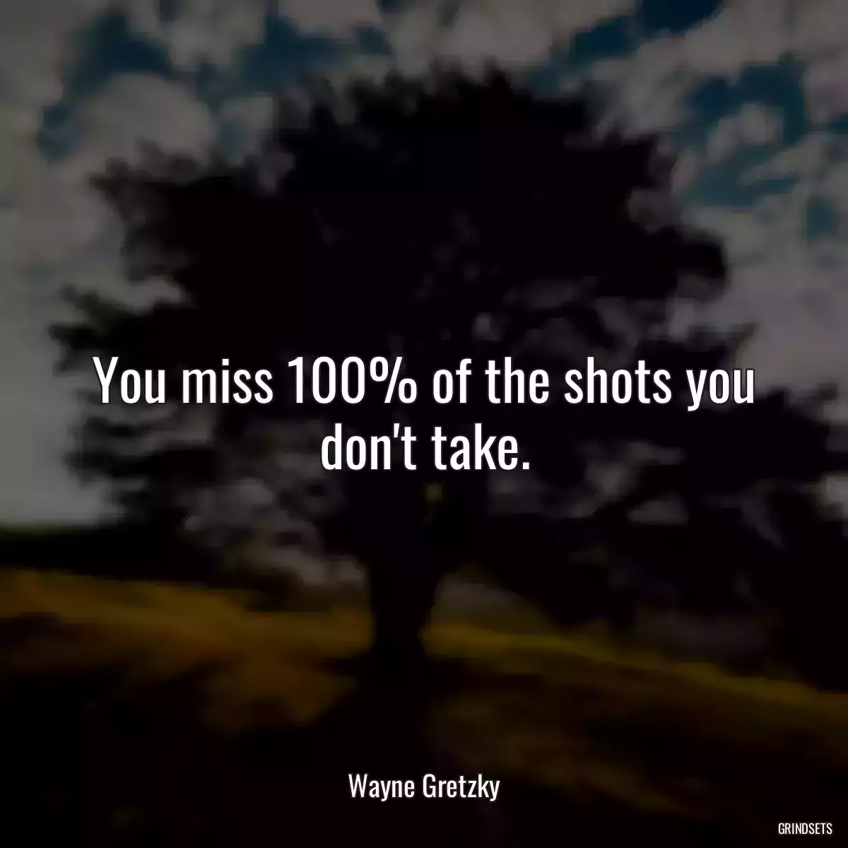 You miss 100% of the shots you don\'t take.