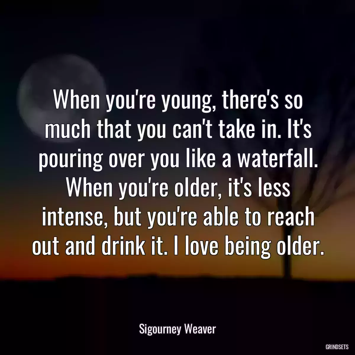 When you\'re young, there\'s so much that you can\'t take in. It\'s pouring over you like a waterfall. When you\'re older, it\'s less intense, but you\'re able to reach out and drink it. I love being older.